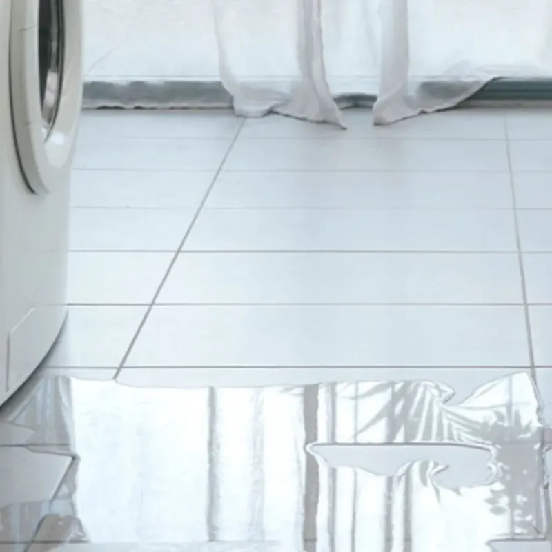 Appliance Leak Cleanup in Pooler, GA