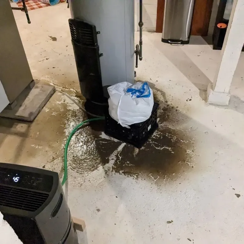 Sewage Backup Cleanup Service in Pooler, GA
